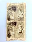 Antique Stereocards